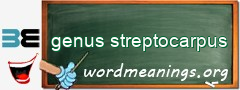 WordMeaning blackboard for genus streptocarpus